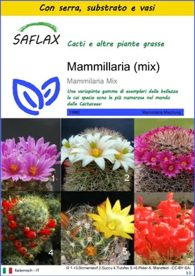 Immagine prodotto di SAFLAX Insieme di coltivazione - Mammillaria (mix) - 40 semi - Mammilaria
