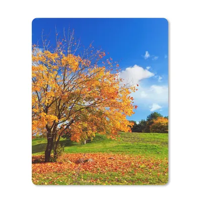 Produktbild von MuchoWow® Mauspad Mousepad Baum - Blätter - Herbst - Jahreszeiten 30x40 cm - Mousepads - Maus Mat - Pad - Mausunterlage - Mausmatten
