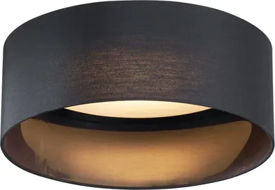 Produktbild von Moderne Deckenleuchte Schwarz Transparent 40cm inkl  LED 3 Stufen Dimmbar Sue