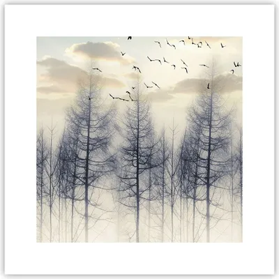 Produktbild von Poster - Poster ohne Rahmen - Bäume Vögel Himmel - 30x30 cm - Wand Bild - Wanddeko - Wandbilder - Kunstposter - Wandposter - Bilder - Kunstdruck - Wanddekoration - Wandbild - P2XAC30x30-4546