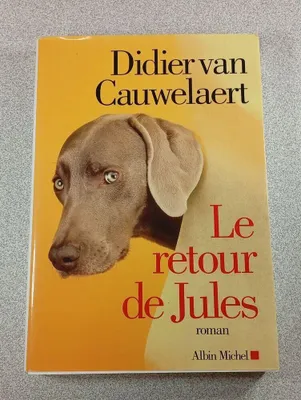 Image de Le retour de Jules