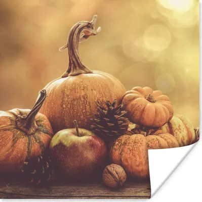 Produktbild von MuchoWow® Poster Kürbis - Herbst - Tannenzapfen - Obst - Apfel 100x100 cm - Babyzimmer