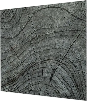 Produktbild von Wandtapete - Dekorative Tapete für Wohnzimmer  - Tapetenfolie für Wanddekoration - 250x250 cm - Maserungsmuster