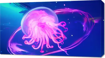 Produktbild von Bild 90x50cm Neonqualle