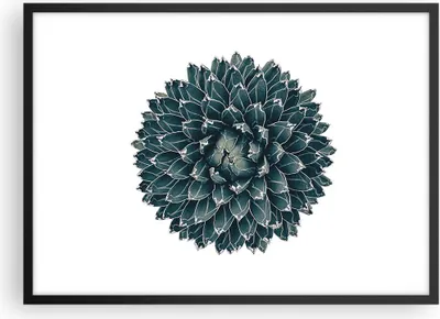 Produktbild von Gerahmtes Poster - Schwarzer Rahmen - Agave Königin Victoria - 70x50 cm - Wand Bild - Wanddeko - Wandbilder - Kunstposter - Wandposter - Bilderrahmen - Bilder - Kunstdruck - Wandbild - P2BAA70x50-4129