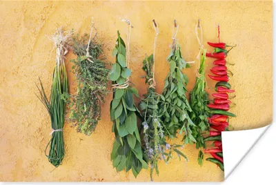 Produktbild von MuchoWow® Poster Mediterrane Kräuter 120x80 cm - Bilder