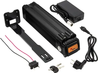 Produktbild von Komplett-Set: Maratron Akku 24V (25,9V) 12Ah 288Wh SilverFish schwarz mit Ladegerät und Halterung