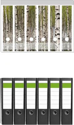 Produktbild von Wallario 6 Stück breite Ordner inkl. Klebeetiketten mit Motive Birkenwald - Baumstämme in schwarz weiß -  Set mit Rückenschildern / Ordnerrücken Stickern
