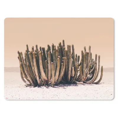 Produktbild von MuchoWow® Mauspad Mousepad Kaktus - Pflanze - Natur - Grün 23x19 cm - Mousepads - Maus Mat - Pad - Mausunterlage - Schreibtischunterlage - Mauspad