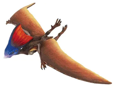 Zdjęcie produktu dla Zabawka „Safari z dinozaurami Tapejara”