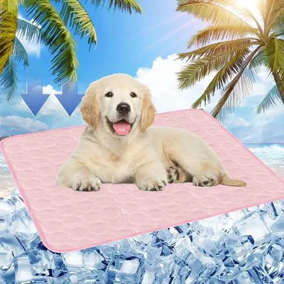 Produktbild von Famanu Kühlmatte für Hunde 70 x 55 cm - selbstkühlend, für drinnen, draußen oder im Auto