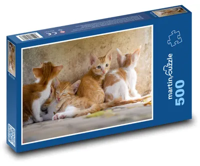 Zdjęcie produktu dla martinpuzzle - Puzzle 500 - Kotki, koty