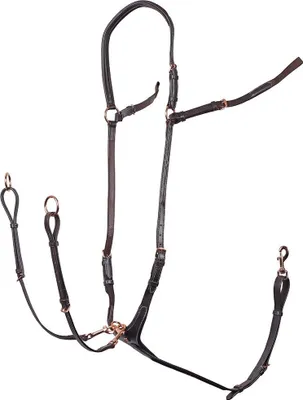 Obrázok produktu pre Harry's Horse Rosegold Náprsenka Brown Full Brown Full