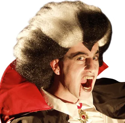 Produktbild von Dracula Vampir Horror Perücke für Erwachsene Halloween Karneval Fasching