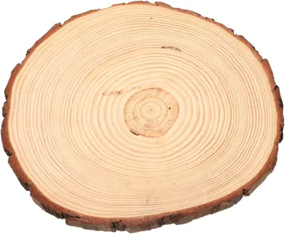 Obrázek produktu pro Samolepicí držák na ručníky, matná černá, 39 cm