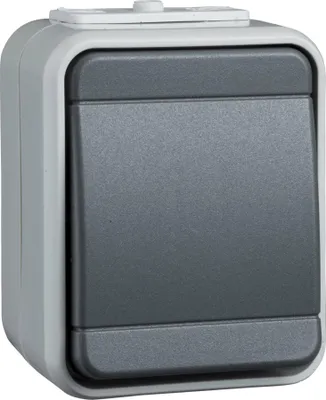 Produktbild von Schneider Electric 441609, Tasten, Grau, Thermoplast, IP44, Wasserfest, WEEE