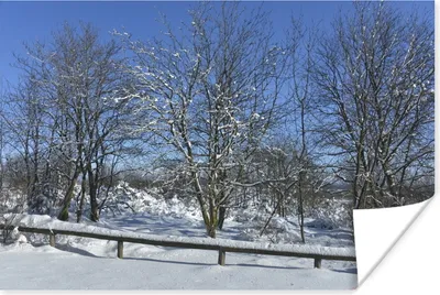 Produktbild von MuchoWow® Poster Ein winterlicher Tag unter blauem Himmel in den Ardennen 180x120 cm - Fotoplakat