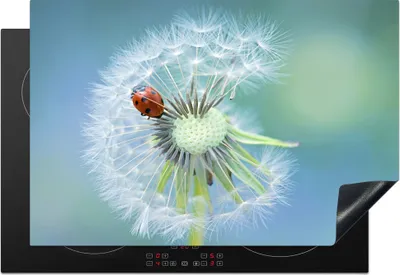 Produktbild von KitchenYeah© Herdabdeckplatte Marienkäfer sitzt auf einer Blasenblume , 76x51cm, Küche Deko, Glaskeramikkochfeld Herdabdeckung, Abdeckplatte fùr Kochfeld