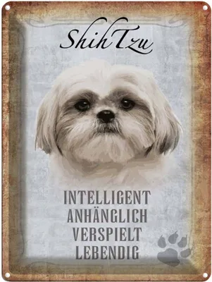 Produktbild von vianmo Blechschild 40x30 cm Shih Tzu Hund