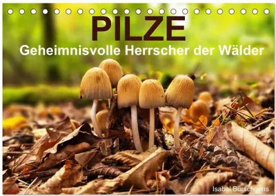 Produktbild von Pilze - Geheimnisvolle Herrscher der Wälder (Tischkalender 2026 DIN A5 quer), CALVENDO Monatskalender