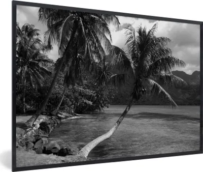 Produktbild von MuchoWow® MuchoWow® Gerahmtes Poster Palmen am Strand von Mo'orea in Schwarz und Weiß 90x60 cm - Poster mit zchwarzem Bilderrahmen - Fotorahmen - Foto-Plakat