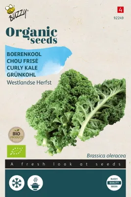 Produktbild von Buzzy Organic Grünkohl Westländer Herfst -  Samen - Ca. 0,4 gr | Buzzy_92249