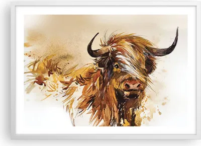 Produktbild von Gerahmtes Poster - Weißer Rahmen - Stier Scotch Aquarell - 70x50 cm - Wand Bild - Wanddeko - Wandbilder - Kunstposter - Wandposter - Bilderrahmen - Bilder - Kunstdruck - P2WAA70x50-4708