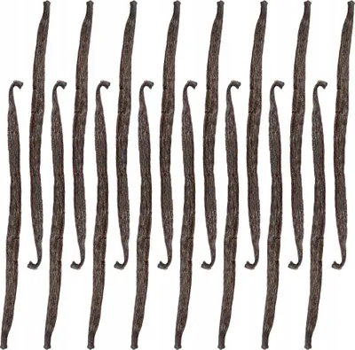 Zdjęcie produktu dla LASKA WANILII 13-16 cm Wanilia Laski Madagaskar Jakość 1 Kol-Pol - 16 sztuk