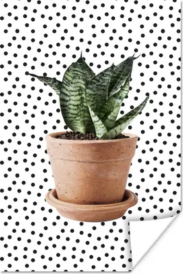 Produktbild von MuchoWow® Poster Zimmerpflanze - Blumentopf - Dots 20x30 cm - Papierdruck