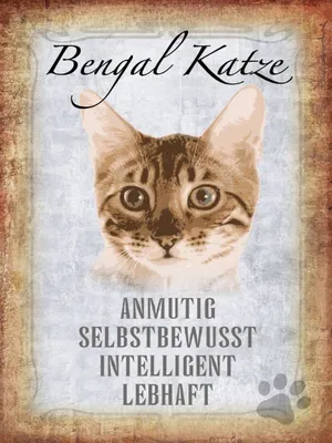 Produktbild von vianmo Holzschild 40x30 cm Bengal Katze