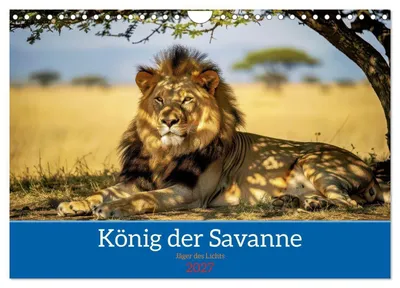Produktbild von Löwen der Savanne (Wandkalender 2027 DIN A4 quer), CALVENDO Monatskalender