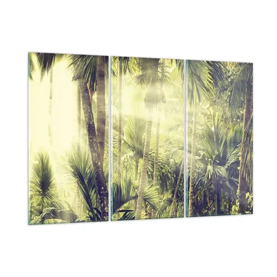 Produktbild von Bilder auf glas - 3 Teile - Morgendämmerung Dschungel Palmen - 105x70cm - Glasbilder - Wandbilder - Bilder - Wanddekoration aus Glas - Glas Bilder - Wandbild auf Glas - GCE105x70-4450
