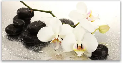Produktbild von Tulup Leinwand-Bilder 140x70 Wandbild Canvas Kunstdruck Blumen Steine Kunst