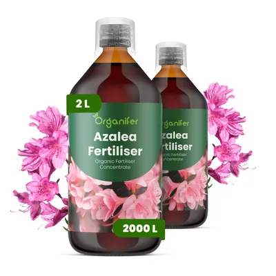 Produktbild von Azaleendünger Flüssig 2x1L – 3-4-3 NPK – Flüssigdünger Für Blühpflanzen – Für Üppige Blüten & Starke Wurzeln – Organifer