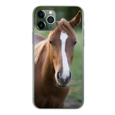 Produktbild von MuchoWow® Handyhülle Schutzhülle Hülle für iPhone 11 Pro Pferd - Natur - Porträt Silikon Softcase Handy Hülle - Handy