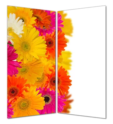 Produktbild von Wallario selbstklebende Duschrückwand 160 x 200 cm mit Motiv Bunte Gerberas - pinke, gelbe, rote und weiße Blüten - Wandverkleidung mit Hochglanzlaminat in Glasoptik
