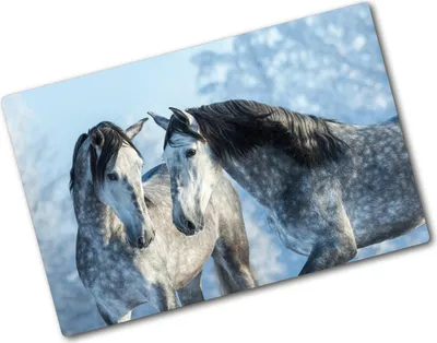 Produktbild von Tulup Glas Herdabdeckplatte - 80x52 cm - Glaskeramikkochfeld-Abdeckung Spritzschutz Glasabdeckplatte - Einteilig - Tiere - Graue Pferde Winter - Grau