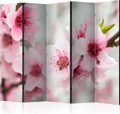 Zdjęcie produktu dla Akustyczna ścianka działowa wiśnia ekran fotograficzny 225x172 cm drukowany po obu stronach na włókninie płótno Akustyczna piankowa ścianka działowa hiszpańska ściana ekran prywatności domowe biuro kwiaty natura b-C-0469-z-c
