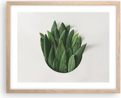 Produktbild von Gerahmtes Poster - Rahmen in heller Eiche - Salbei Medizin Blätter - 50x40 cm - Wand Bild - Wanddeko - Wandbilder - Kunstposter - Wandposter - Bilderrahmen - Bilder - Kunstdruck - P2NAA50x40-4859