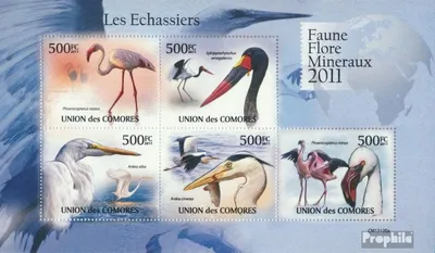 Produktbild von Briefmarken Komoren 2011 Mi 3023-3027 Kleinbogen (kompl. Ausg.) postfrisch Watvögel (Phoenicopterus roseus)