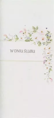 Obrázek produktu pro Svatební oznámení DL S62 - Ve svatební den