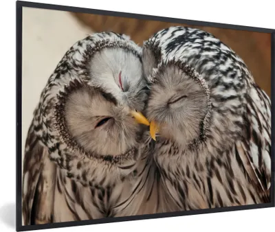 Produktbild von MuchoWow® MuchoWow® Gerahmtes Poster Eulen - Vögel - Schnabel - Familie 30x20 cm - Poster mit zchwarzem Bilderrahmen - Kunstdruck - Bild-Poster