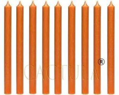 Cactula Stabkerzen – Orange – 9 Stück – 28 cm