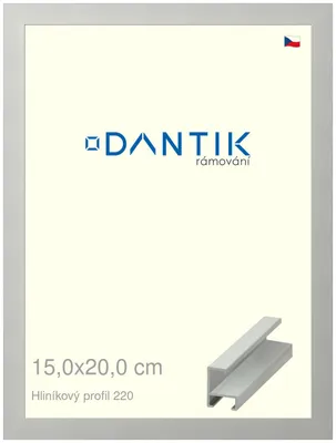 Zdjęcie produktu dla Ramka DANTIK 15x20 | Profil ALU 6220 Srebrny mat (szkło przezroczyste)