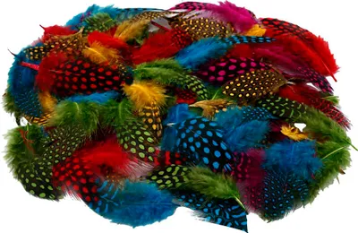 Image de Plumes de pintade, couleurs assorties, 50 g