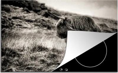 Obrázek produktu pro KitchenYeah® Krycí deska na sporák Scottish Highlander - Cows - Black - White , 81x52cm, dekorace do kuchyně, keramická krycí deska na sporák, krycí deska na varnou desku