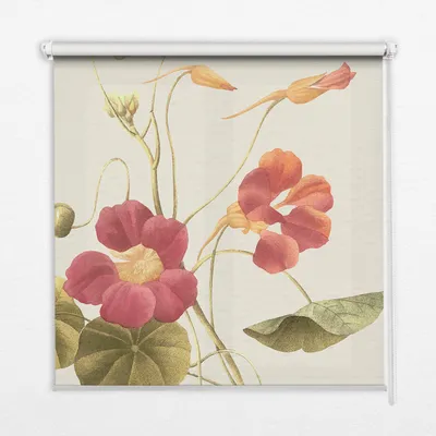 Produktbild von Seitenzug-Rollo Fensterrollo Jalousie - Thermo-Rollo Verdunkelungsrollo - 140x180 cm - Blume