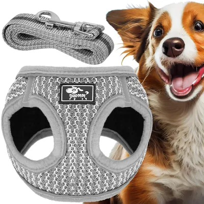 Produktbild von Springos® Hundegeschirr Brustgeschirr mit Leine L Gepolstert für Hunde Katzen Doppelverschluss Einfach Anzulegen Hundeleine mit Karabinerhaken