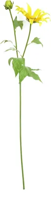 Produktbild von Frühlingsblume 74 cm Kunstblume Flora