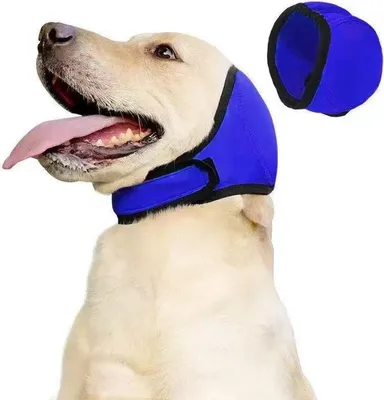 Immagine prodotto di INF Copriorecchie Impermeabili per Cani: Protezione Acqua e Riduzione Rumore Blu M